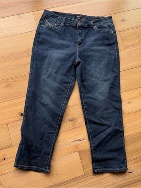 Earl size 16 Dark Blue Women's Stretch Jeans peddle pushers high waters